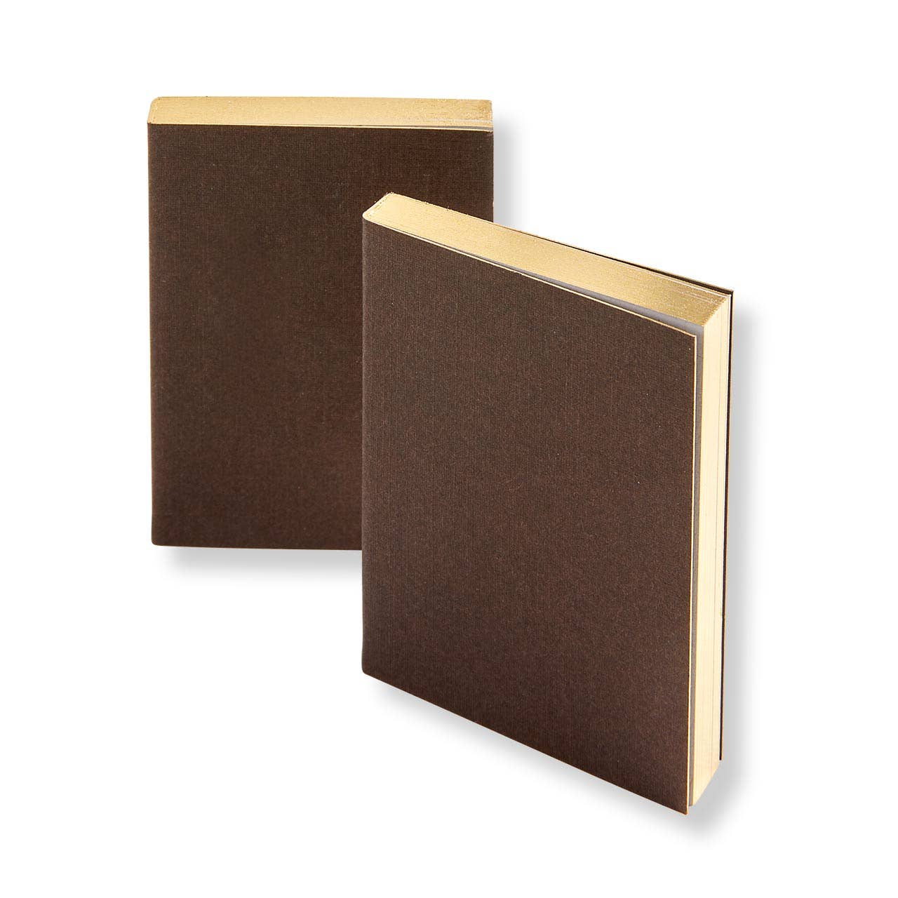 Tiny Little Stanley Notebook (set of 2)