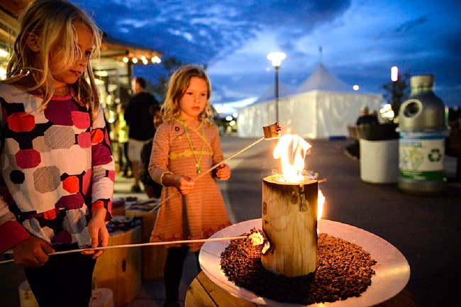 onelogfire Mini – Your Portable Campfire  1-Hour burn time