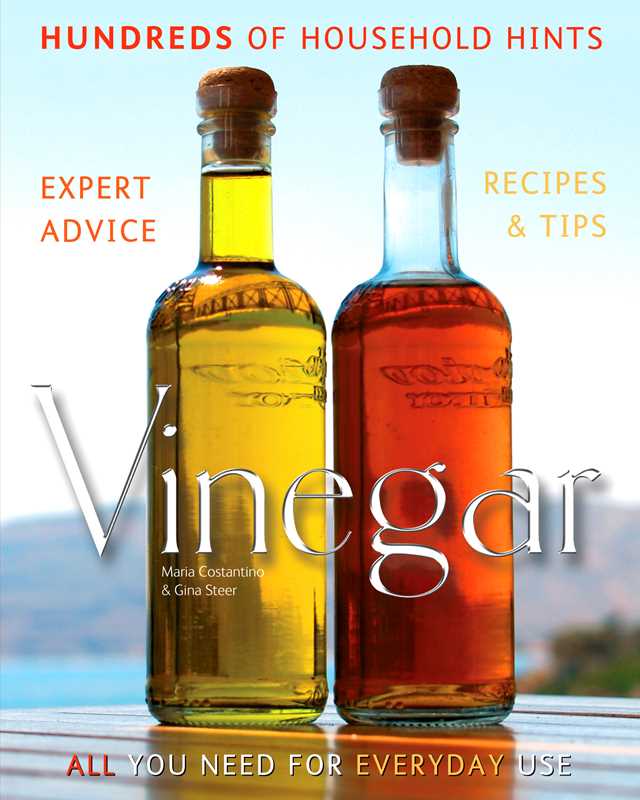 Vinegar by Maria Costantino