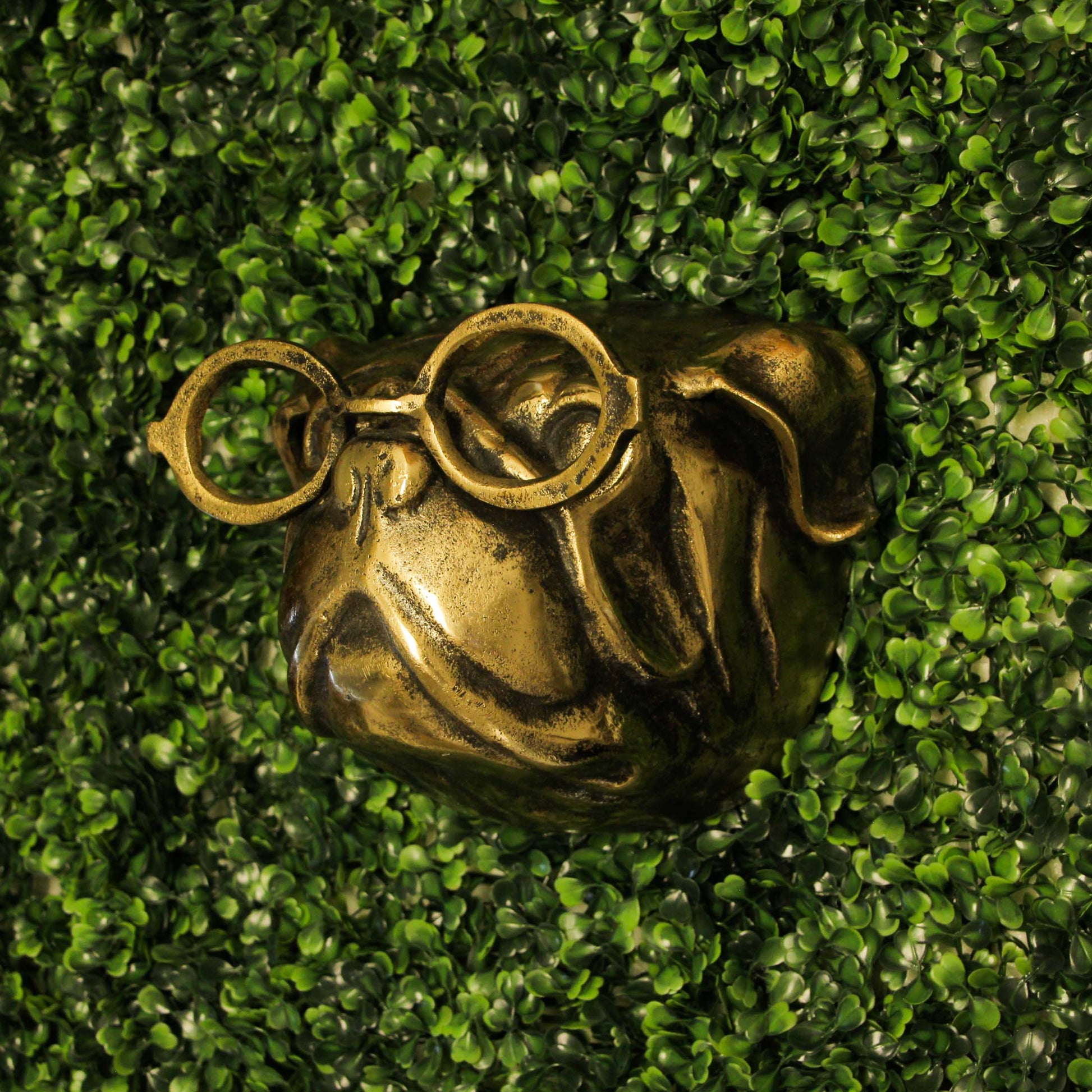 Gold Pug Dog Head Wall Hanging with Oval Spectacles